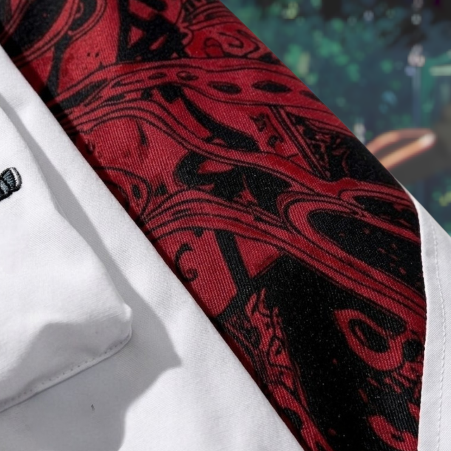 Hikaru jacket - the summer Hikaru died