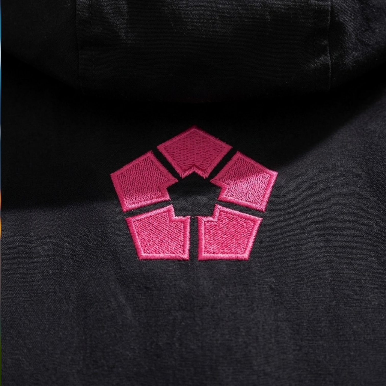 Campera Alexis Ness - Blue lock
